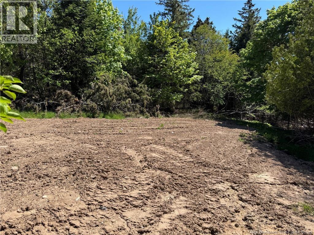 9 Calders Head Road, Calders Head, New Brunswick  E5V 1M8 - Photo 7 - NB141207