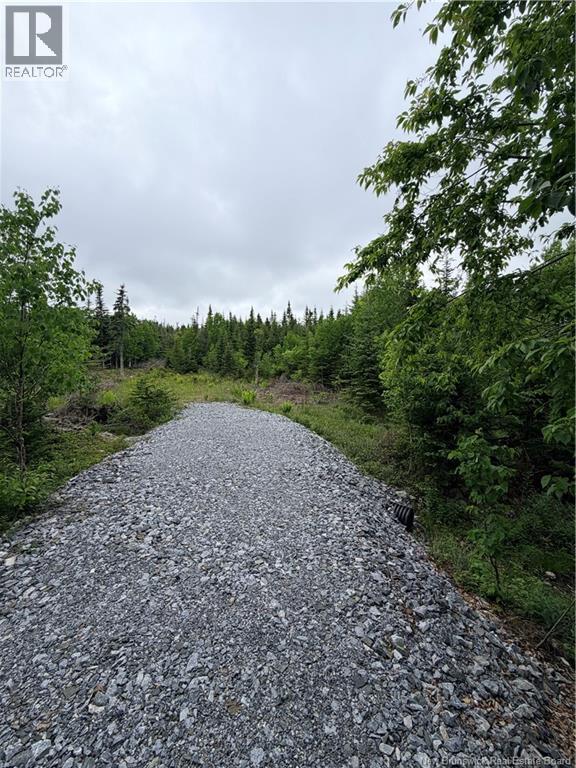Meadow Cove Road, Musquash, New Brunswick E5J 1Y5 - Photo 2 - NB141224
