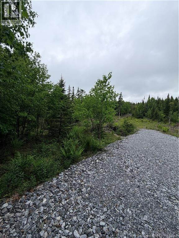 Meadow Cove Road, Musquash, New Brunswick E5J 1Y5 - Photo 3 - NB141224