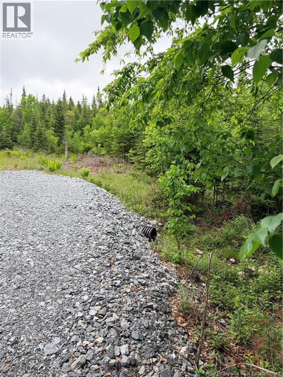 Meadow Cove Road, Musquash, New Brunswick E5J 1Y5 - Photo 4 - NB141224