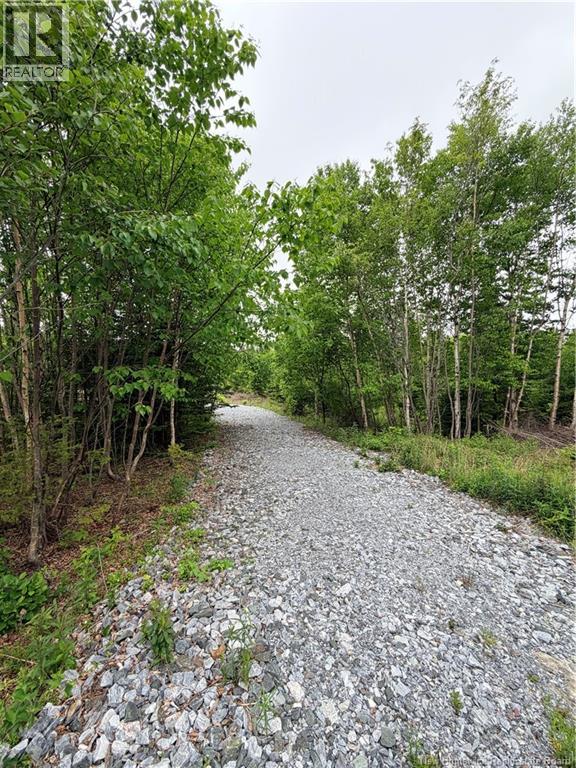 Meadow Cove Road, Musquash, New Brunswick E5J 1Y5 - Photo 5 - NB141224