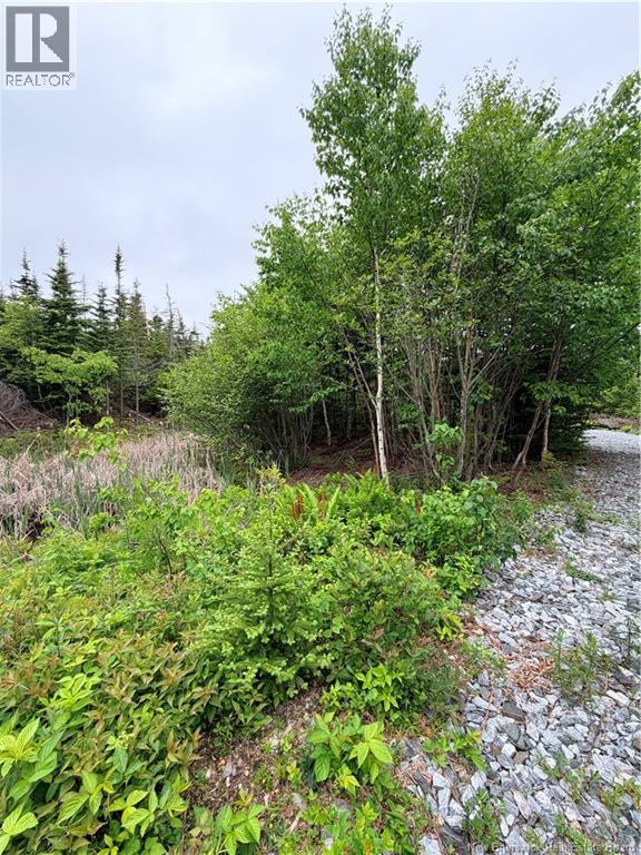 Meadow Cove Road, Musquash, New Brunswick E5J 1Y5 - Photo 6 - NB141224