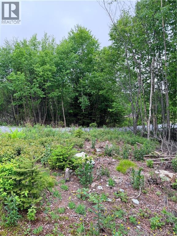 Meadow Cove Road, Musquash, New Brunswick E5J 1Y5 - Photo 7 - NB141224