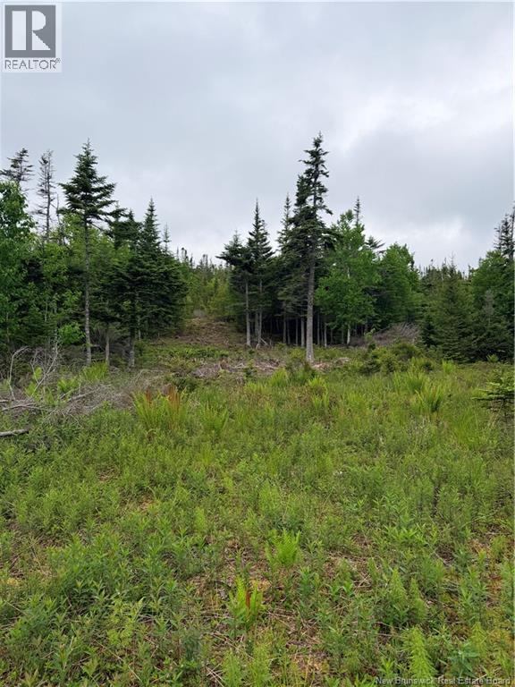 Meadow Cove Road, Musquash, New Brunswick E5J 1Y5 - Photo 9 - NB141224