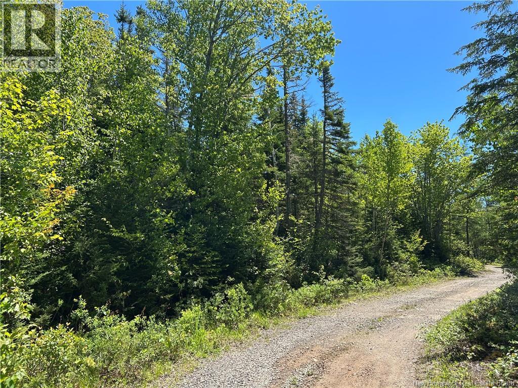 Lot Nelson Lake Road, Grand Bay-Westfield, New Brunswick