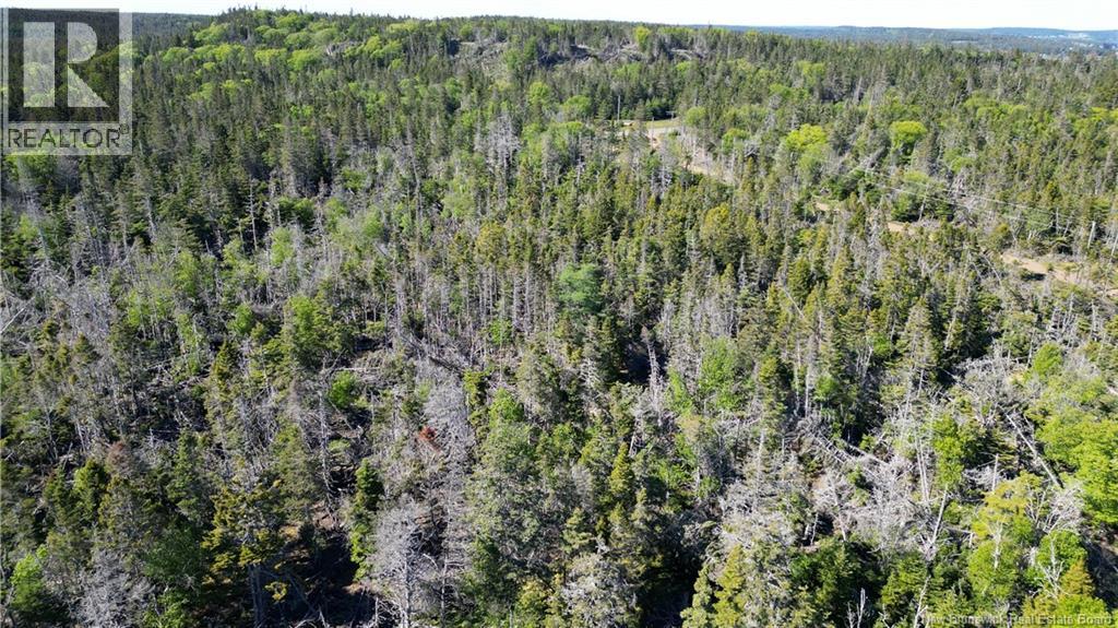 Lot 05-14 Route 776, Grand Manan, New Brunswick  E5G 4K5 - Photo 14 - NB141055