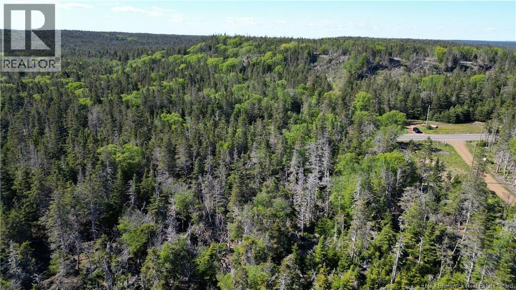 Lot 05-14 Route 776, Grand Manan, New Brunswick  E5G 4K5 - Photo 17 - NB141055