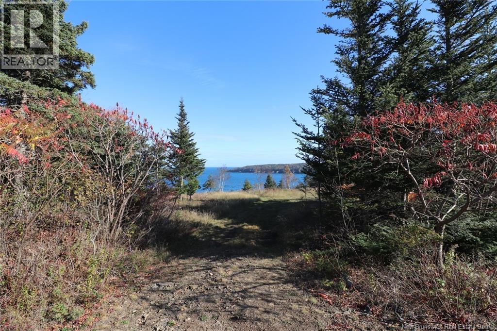 Lot 10-04 Golden Mile Drive, Grand Manan, New Brunswick  E5G 1N1 - Photo 19 - NB141651