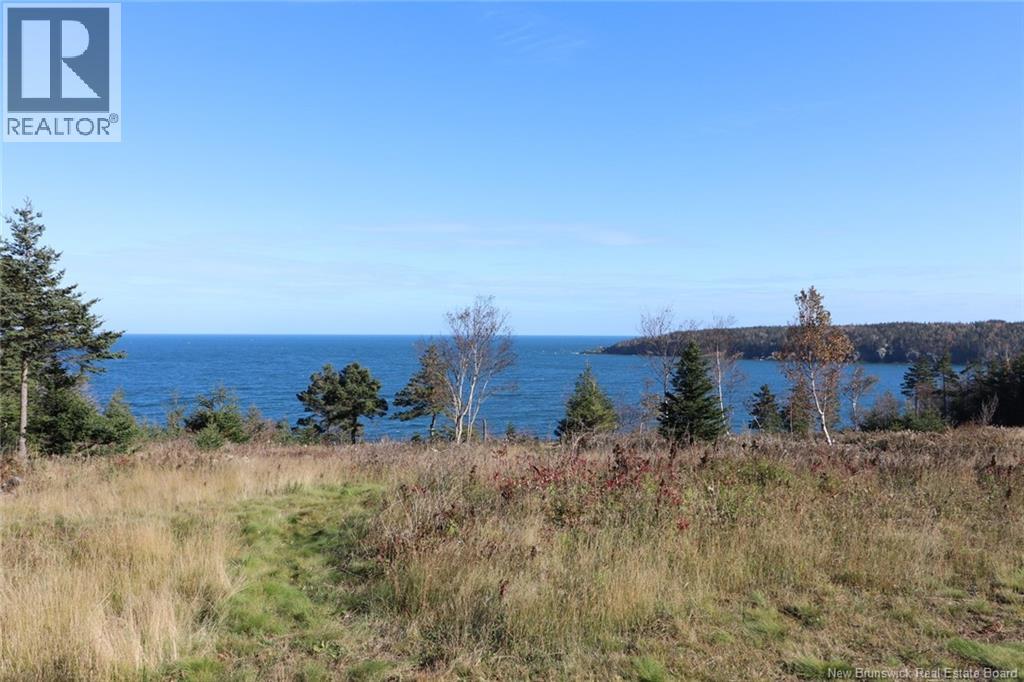 Lot 10-03 Golden Mile Drive, Grand Manan, New Brunswick  E5G 1N1 - Photo 25 - NB141648