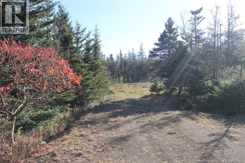 Lot 10-02 Golden Mile Drive, Grand Manan, New Brunswick  E5G 1N1 - Photo 21 - NB141645