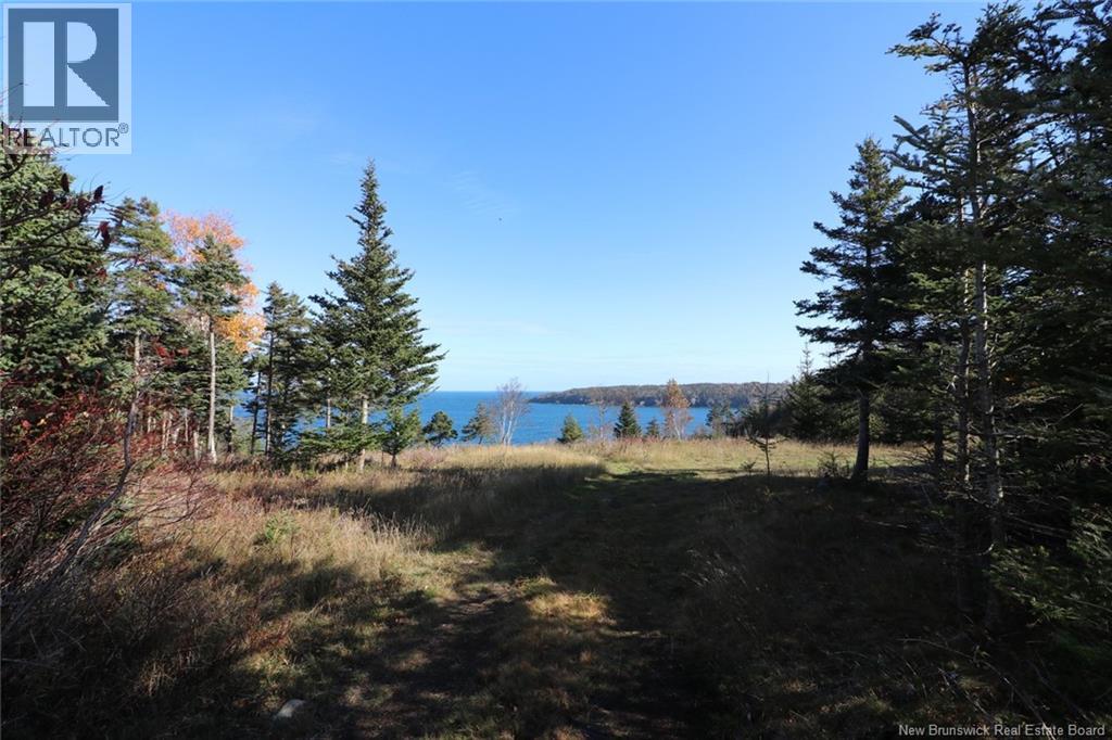 Lot 10-02 Golden Mile Drive, Grand Manan, New Brunswick  E5G 1N1 - Photo 23 - NB141645