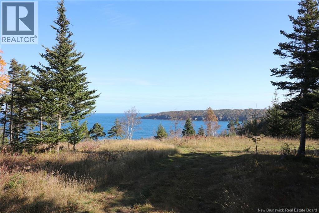 Lot 10-02 Golden Mile Drive, Grand Manan, New Brunswick  E5G 1N1 - Photo 24 - NB141645