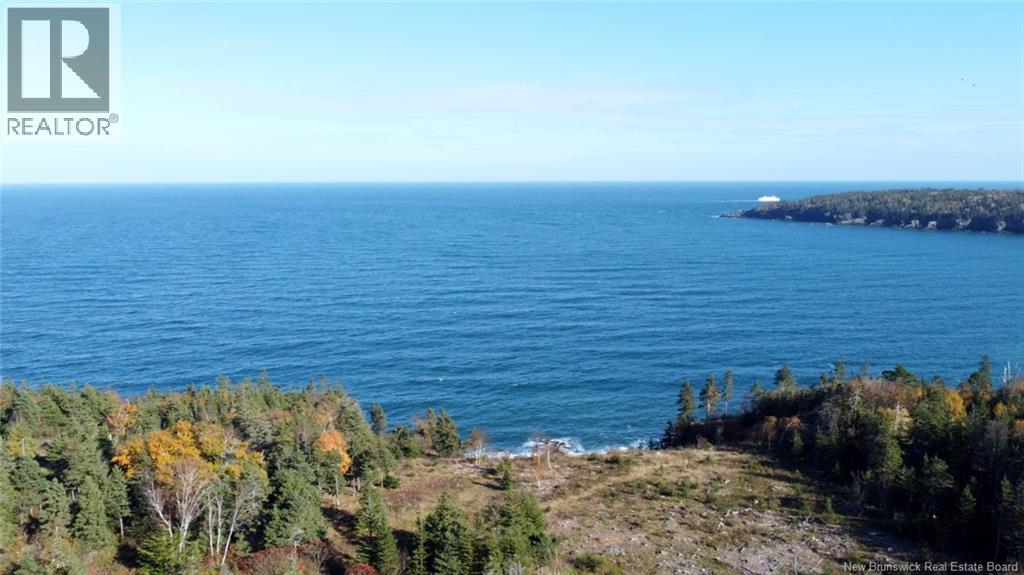 Lot 10-01 Golden Mile Drive, Grand Manan, New Brunswick  E5G 1N1 - Photo 4 - NB141569