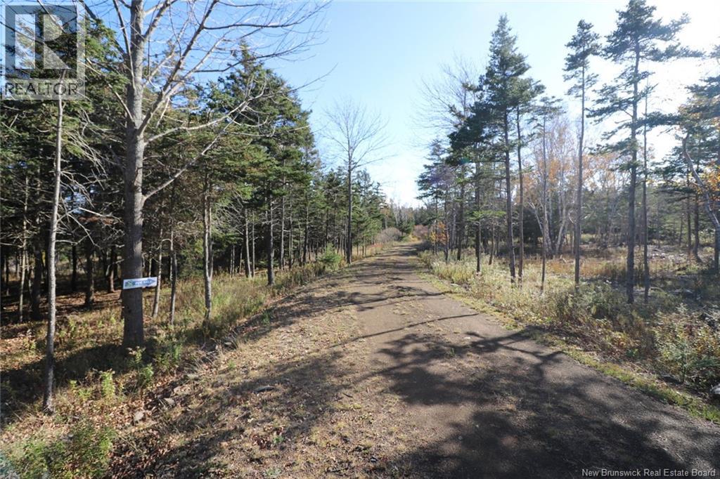 Lot 10-06 Golden Mile Drive, Grand Manan, New Brunswick  E5G 1N1 - Photo 17 - NB141654