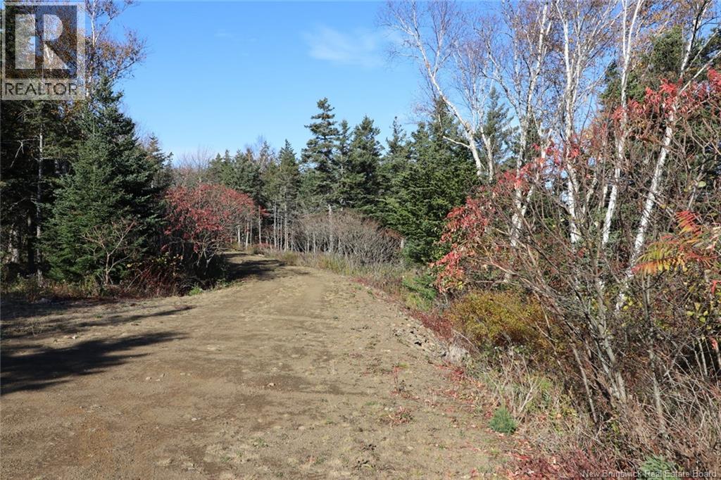 Lot 10-06 Golden Mile Drive, Grand Manan, New Brunswick  E5G 1N1 - Photo 24 - NB141654