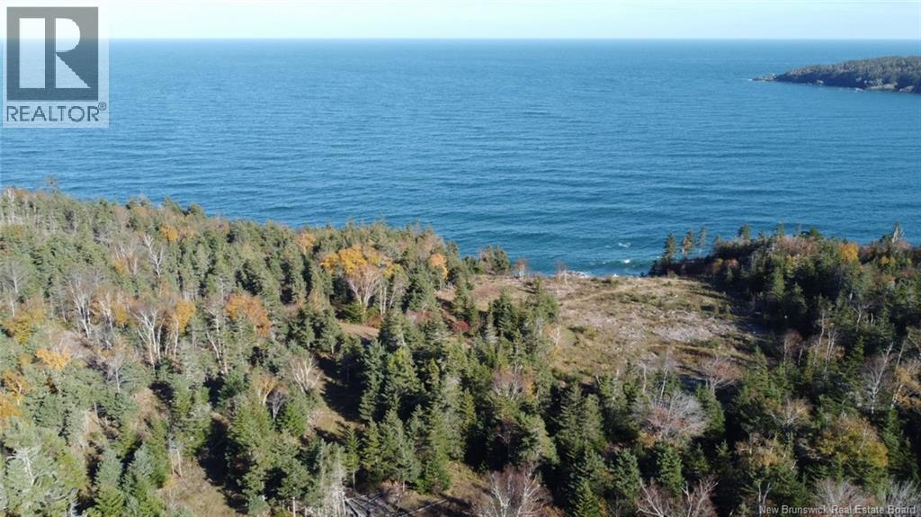 Lot 10-06 Golden Mile Drive, Grand Manan, New Brunswick  E5G 1N1 - Photo 7 - NB141654