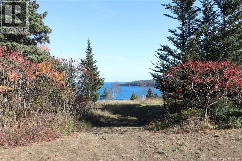 Lot 10-05 Golden Mile Drive, Grand Manan, New Brunswick  E5G 1N1 - Photo 21 - NB141652