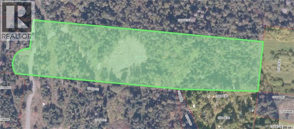 Lot 15-04 Ohio Pond Road, Grand Manan, New Brunswick  E5G 4B4 - Photo 10 - NB141726