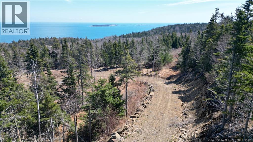 Lot 15-04 Ohio Pond Road, Grand Manan, New Brunswick  E5G 4B4 - Photo 4 - NB141726