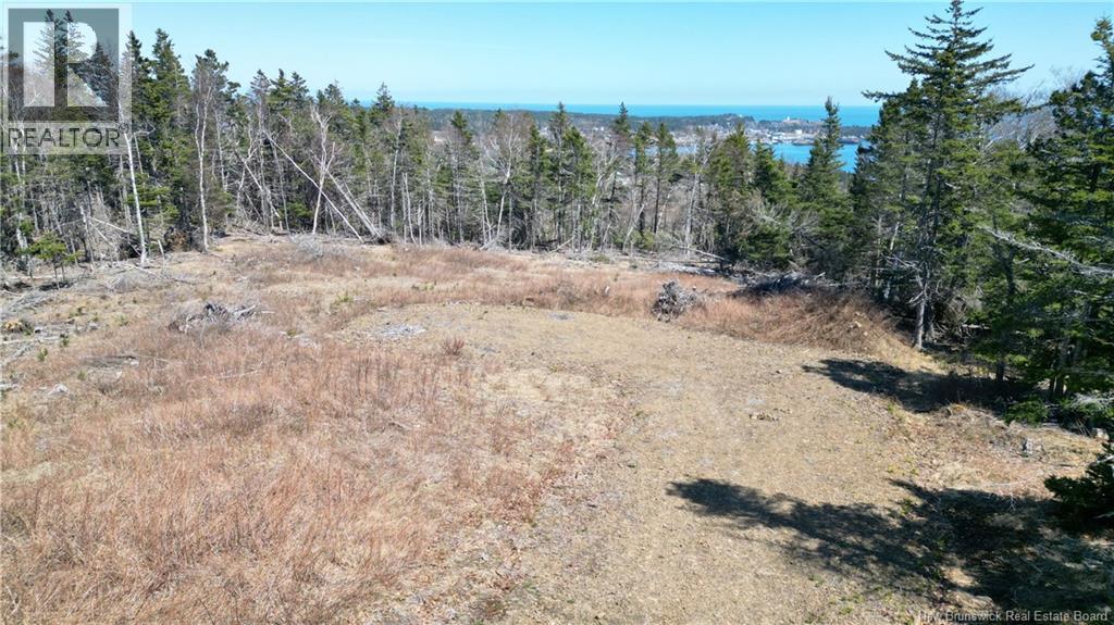 Lot 15-04 Ohio Pond Road, Grand Manan, New Brunswick  E5G 4B4 - Photo 7 - NB141726