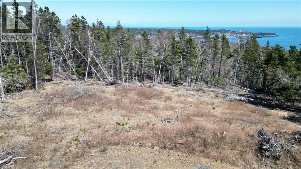 Lot 15-04 Ohio Pond Road, Grand Manan, New Brunswick  E5G 4B4 - Photo 8 - NB141726