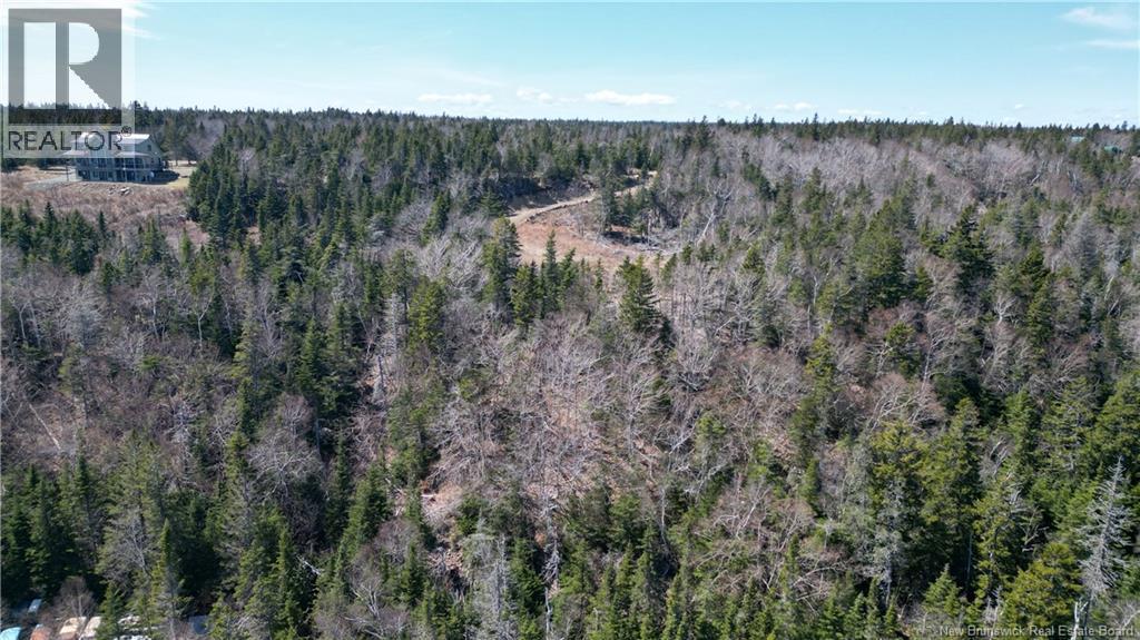 Lot 15-04 Ohio Pond Road, Grand Manan, New Brunswick  E5G 4B4 - Photo 9 - NB141726