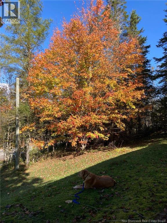 5746 Route 127, Bocabec, New Brunswick  E5B 3J7 - Photo 44 - NB141675