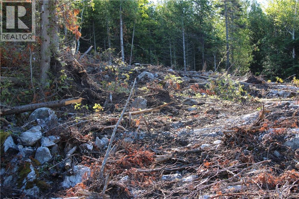 Lot C-9/10 Shoreline Drive, Saint John, New Brunswick  E2H 0B2 - Photo 10 - NB141787