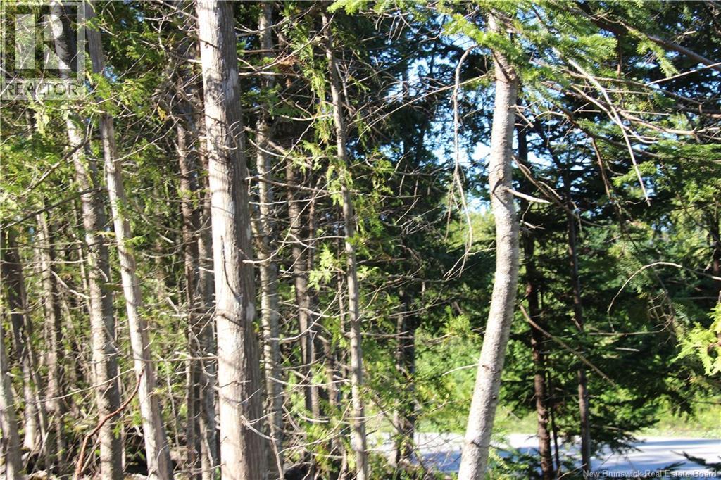 Lot C-9/10 Shoreline Drive, Saint John, New Brunswick  E2H 0B2 - Photo 11 - NB141787