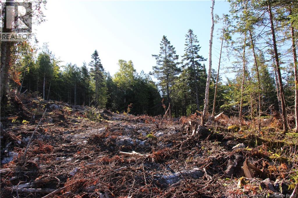 Lot C-9/10 Shoreline Drive, Saint John, New Brunswick  E2H 0B2 - Photo 8 - NB141787