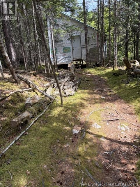199 Fiander Road, Bocabec, New Brunswick  E5B 3M3 - Photo 17 - NB141190