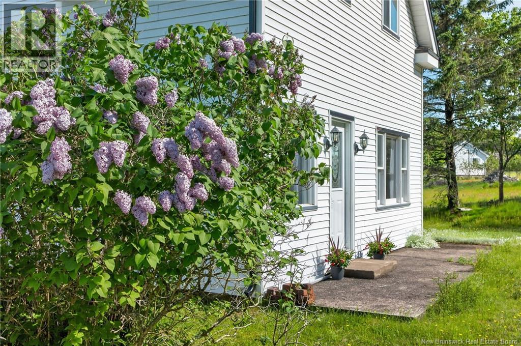 6 Crow Island Road, Chance Harbour, New Brunswick E5J 1Z8 - Photo 34 - NB142071