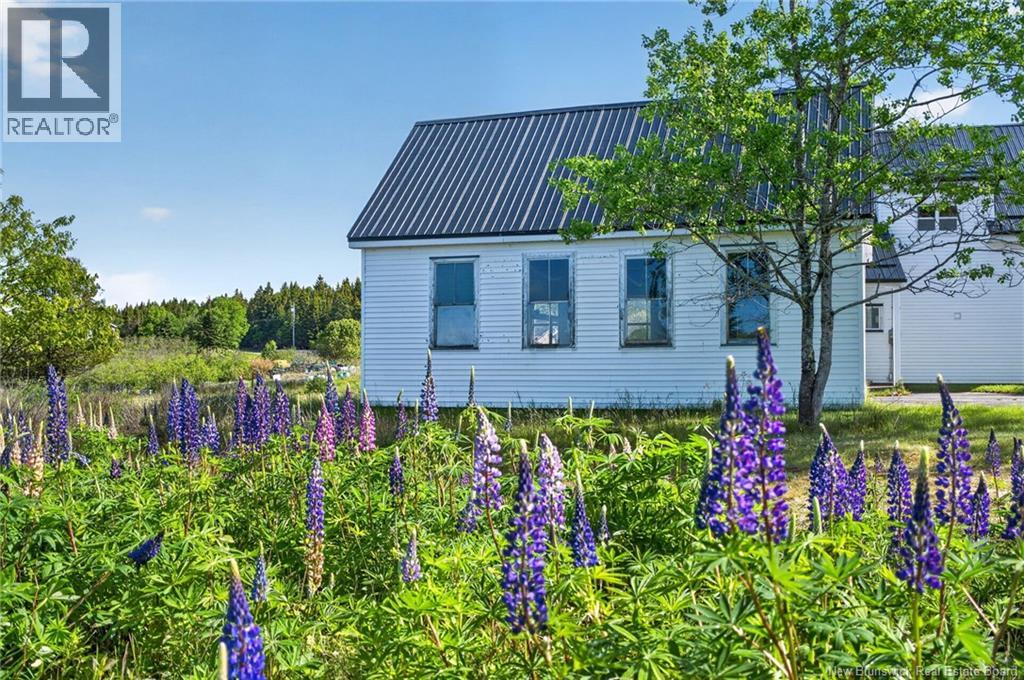 6 Crow Island Road, Chance Harbour, New Brunswick E5J 1Z8 - Photo 35 - NB142071