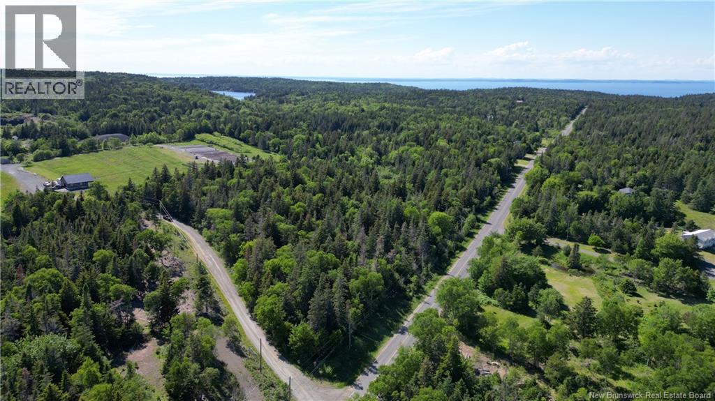 Whistle Road, Grand Manan, New Brunswick E5G 1B4 - Photo 2 - NB142252