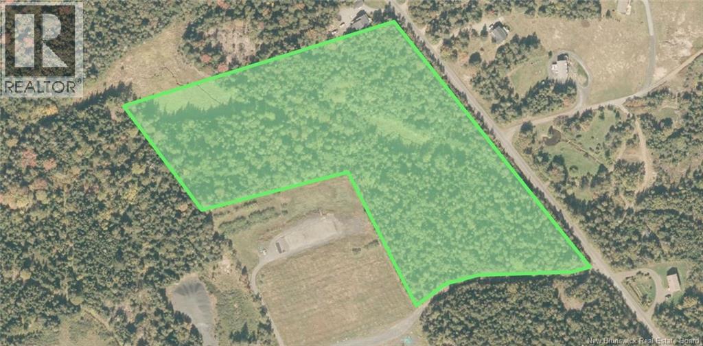 Whistle Road, Grand Manan, New Brunswick E5G 1B4 - Photo 3 - NB142252