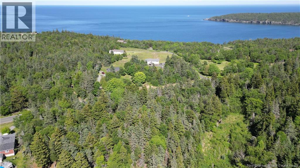 Whistle Road, Grand Manan, New Brunswick E5G 1B4 - Photo 4 - NB142252