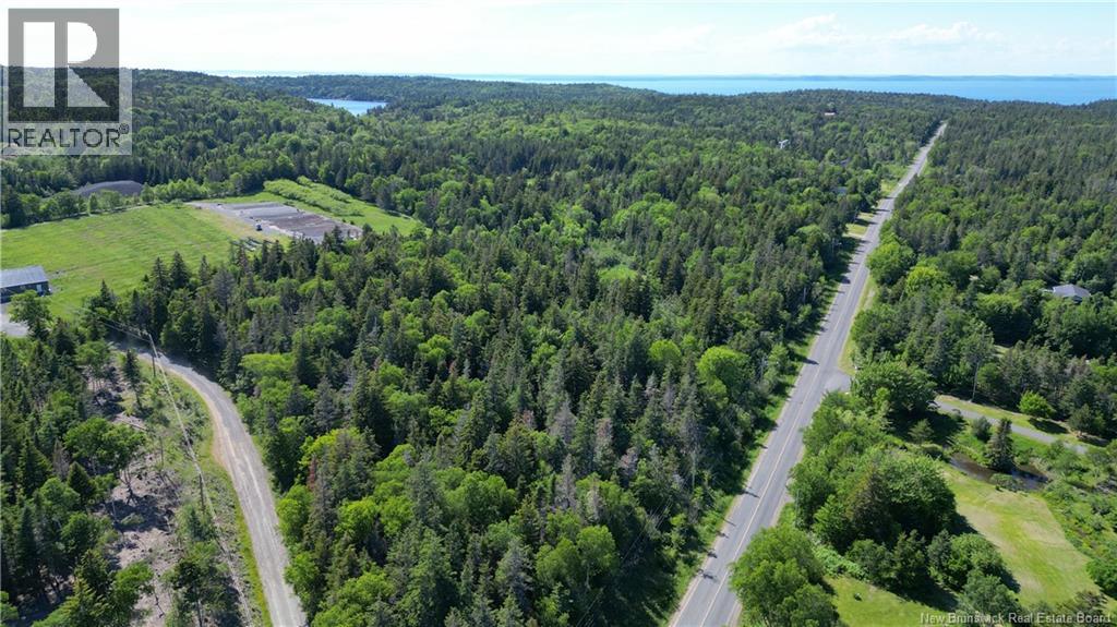 Whistle Road, Grand Manan, New Brunswick E5G 1B4 - Photo 6 - NB142252