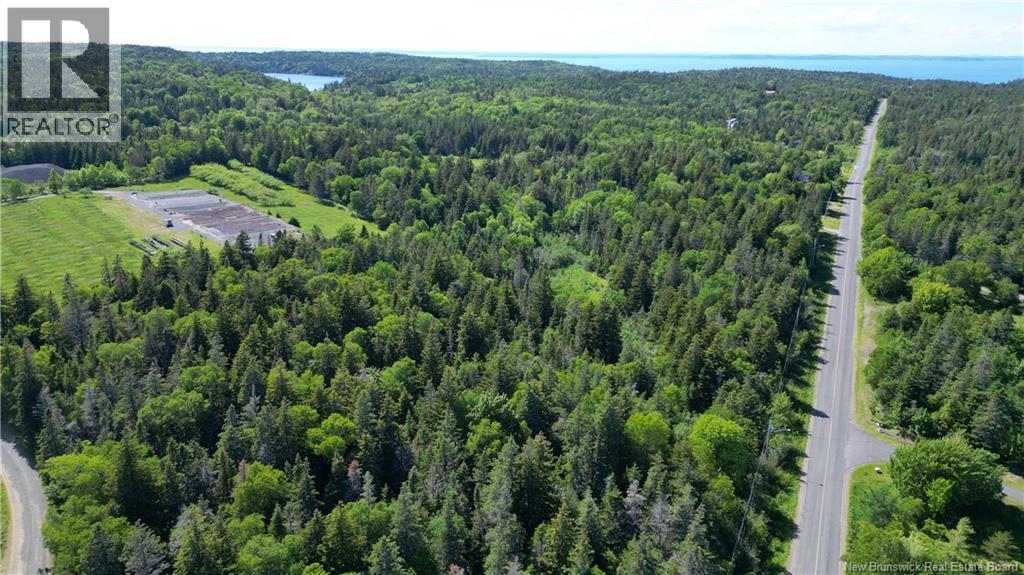 Whistle Road, Grand Manan, New Brunswick E5G 1B4 - Photo 7 - NB142252