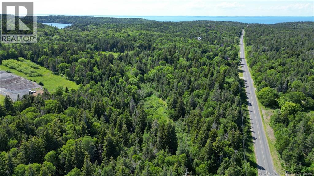 Whistle Road, Grand Manan, New Brunswick E5G 1B4 - Photo 8 - NB142252