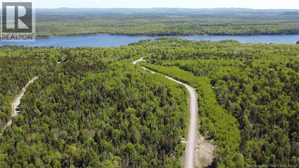Lot 22 Misty Mountain Lane, Elmsville, New Brunswick E5C 0E5 - Photo 16 - NB142260