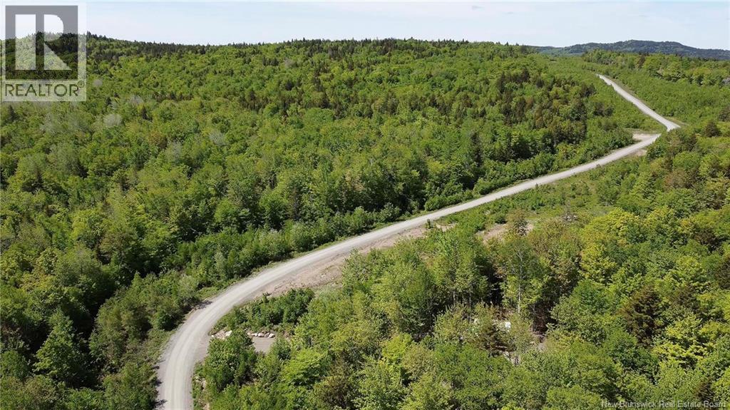 Lot 22 Misty Mountain Lane, Elmsville, New Brunswick E5C 0E5 - Photo 21 - NB142260