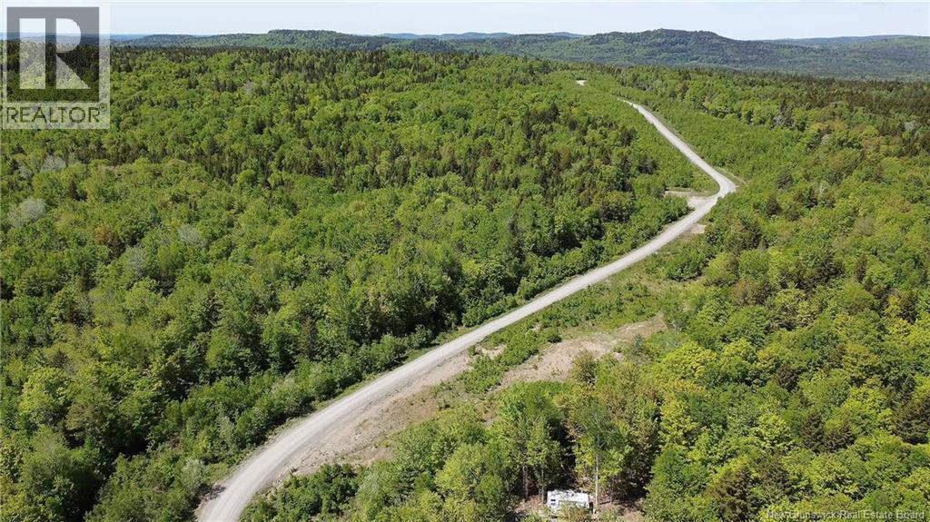 Lot 22 Misty Mountain Lane, Elmsville, New Brunswick E5C 0E5 - Photo 22 - NB142260