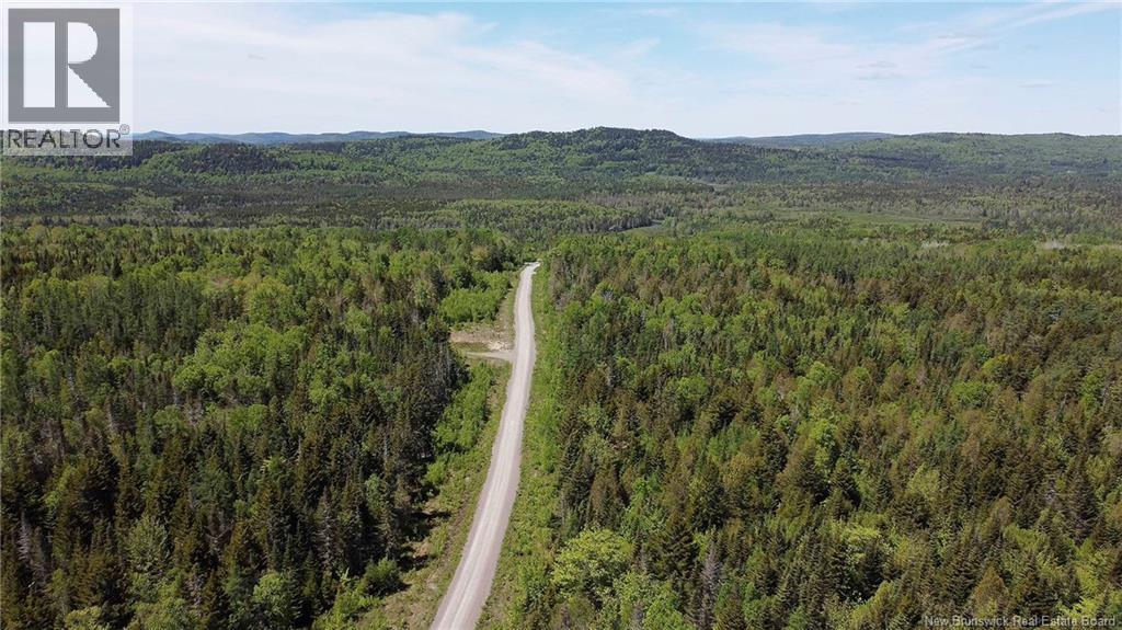 Lot 22 Misty Mountain Lane, Elmsville, New Brunswick E5C 0E5 - Photo 40 - NB142260