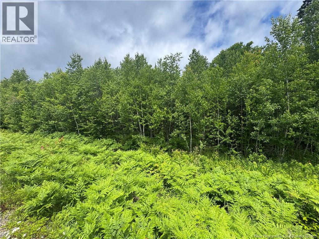 Lot 22 Misty Mountain Road, Elmsville, New Brunswick  E5C 0E5 - Photo 47 - NB142260