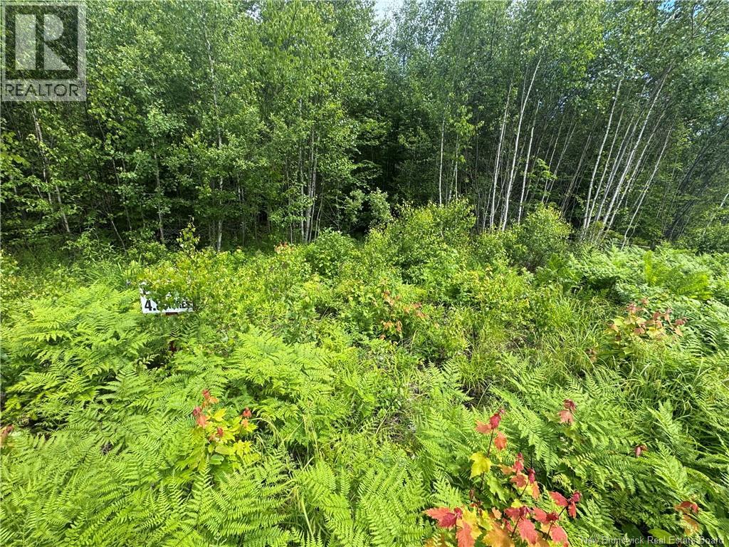 Lot 22 Misty Mountain Road, Elmsville, New Brunswick  E5C 0E5 - Photo 48 - NB142260