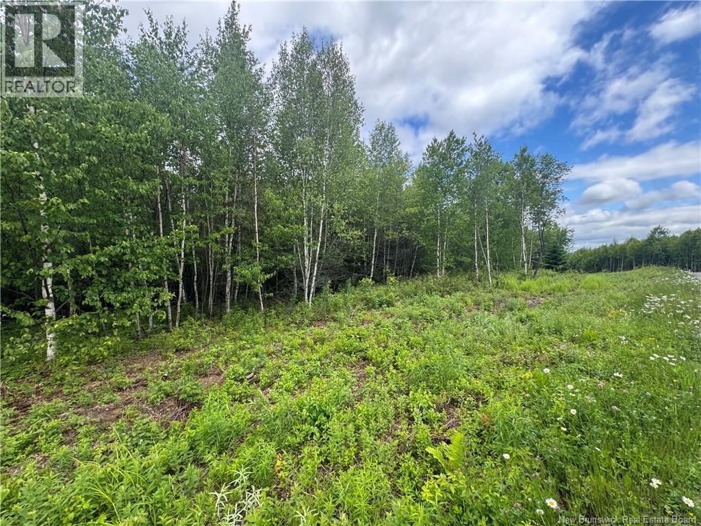 Lot 25 Misty Mountain Road, Elmsville, New Brunswick  E5C 0E5 - Photo 27 - NB142265
