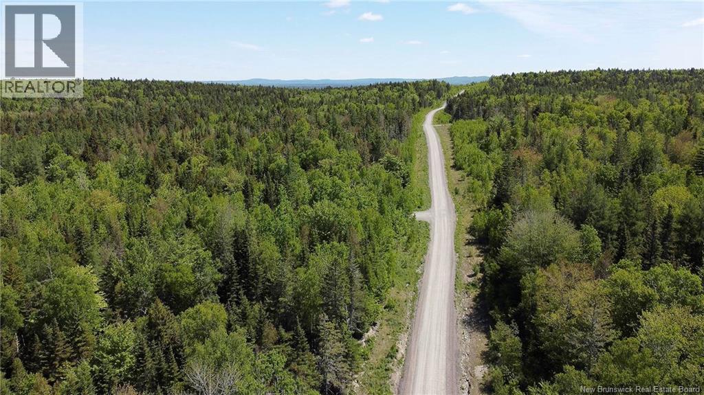 Lot 25 Misty Mountain Lane, Elmsville, New Brunswick E5C 0E5 - Photo 6 - NB142265