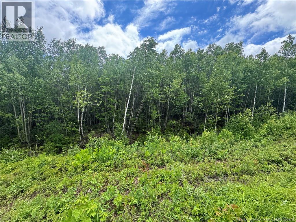 Lot 31 Misty Mountain Road, Elmsville, New Brunswick  E5C 0E5 - Photo 26 - NB142264