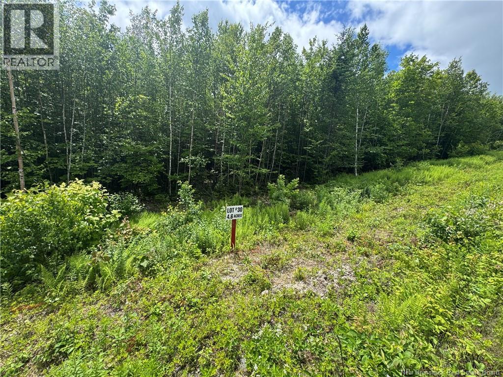 Lot 23 Misty Mountain Road, Elmsville, New Brunswick  E5C 0E5 - Photo 28 - NB142271