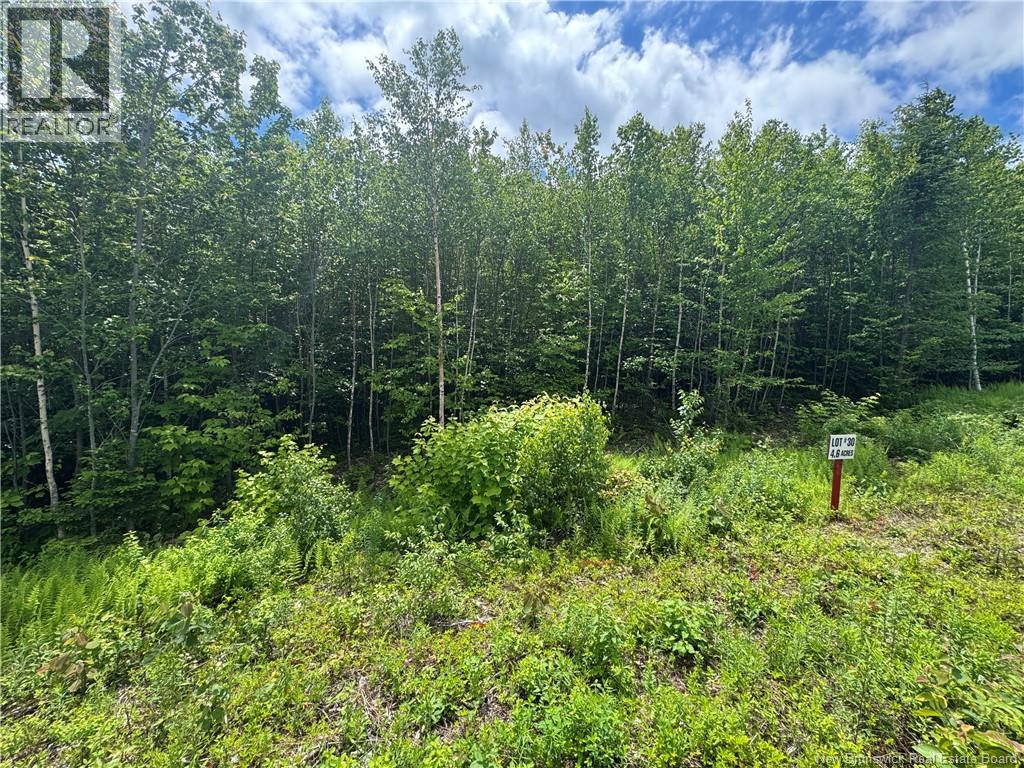 Lot 30 Misty Mountain Road, Elmsville, New Brunswick  E5C 0E5 - Photo 31 - NB142273
